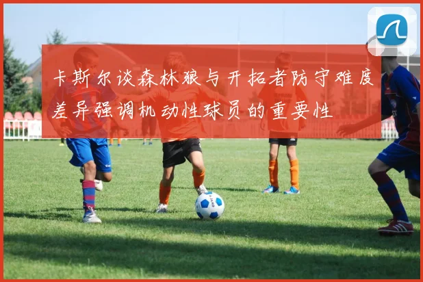 卡斯尔谈森林狼与开拓者防守难度差异强调机动性球员的重要性